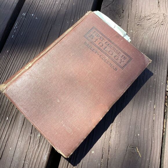 Antique 1909 First Course in Biology by Bailey & Coleman Hardcover Macmillan - Picture 1 of 7